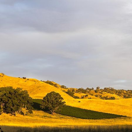 Dairyman'S Cottage Lyndoch Εξωτερικό φωτογραφία