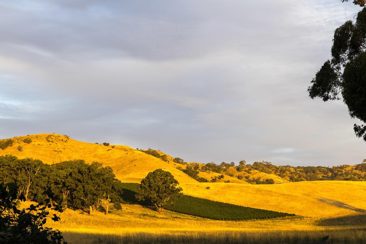 Dairyman'S Cottage Lyndoch Εξωτερικό φωτογραφία